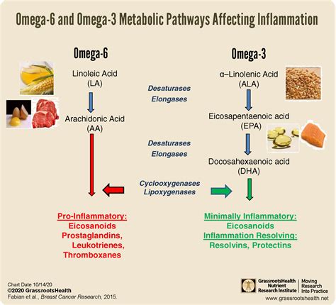 omega 6 vs 3 inflammation.